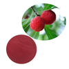Poudre d'extrait de Myrica Rubra Poudre d'extrait de Waxberry Poudre d'extrait de Bayberry rouge
