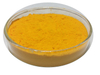 Poudre de coenzyme Q10