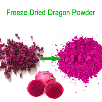 100 % poudre de dragon rouge lyophilisée de pureté poudre de fruits Pitaya